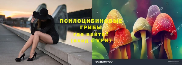 гашик Мегион