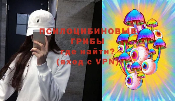 твердый Алзамай