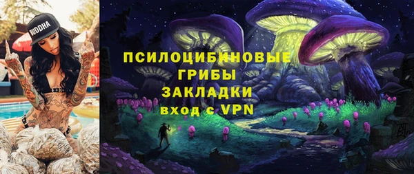сатива Алексин