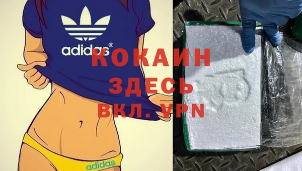 сатива Алексин