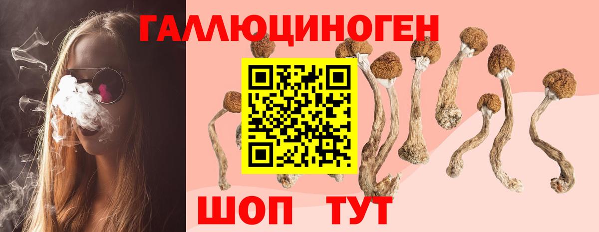 Псилоцибиновые грибы GOLDEN TEACHER  Вход с VPN  Сургут 